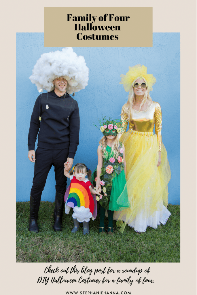 Family of Four DIY Halloween Costume Ideas - Stephanie Hanna Blog